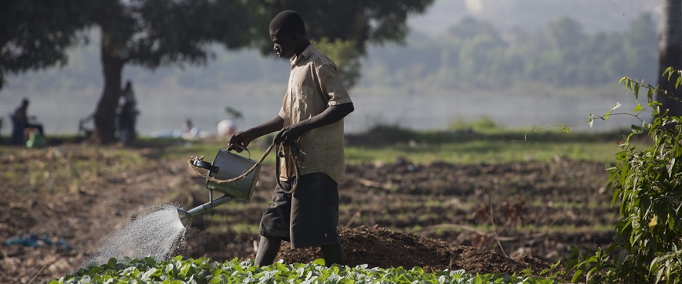 مدیریت منابع انسانی کشاورزی